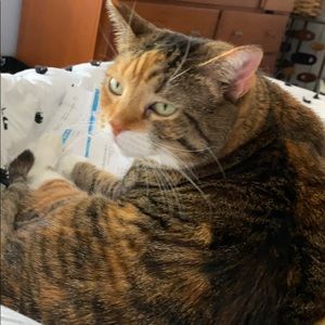 Meet your Posher, Sharon